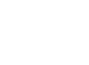 Birdy Jessel